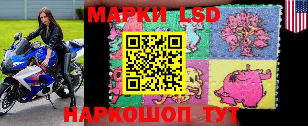 Марки NBOMe 1500мкг  Вход с VPN  Петрозаводск  Марки NBOMe 1500мкг 