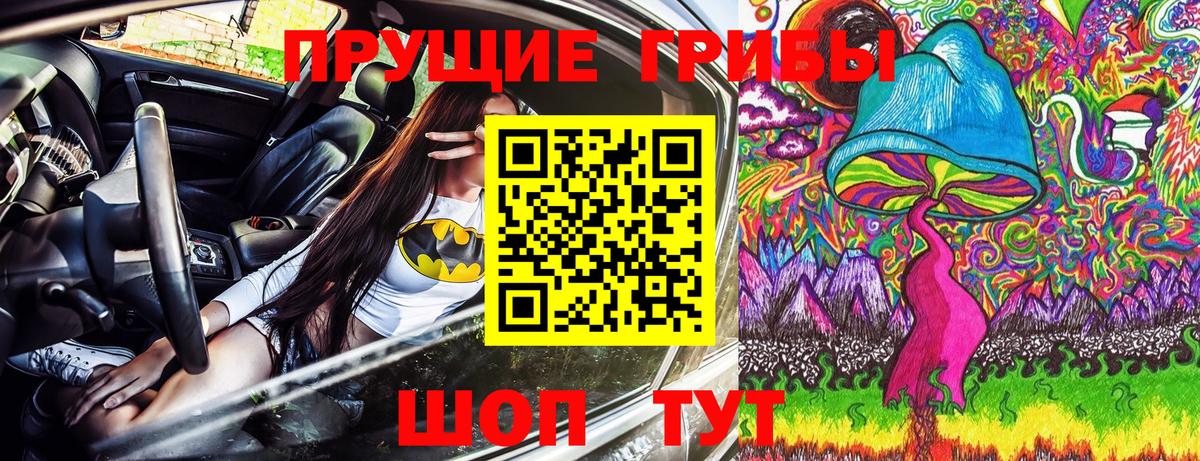 ГАШ Петрозаводск