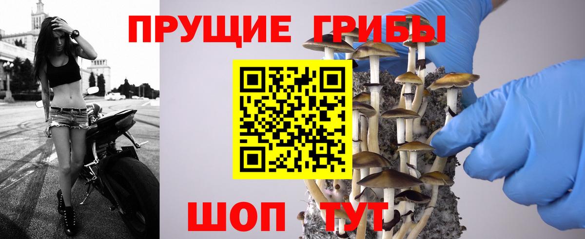 Псилоцибиновые грибы Psilocybe  Псилоцибиновые грибы мухоморы  Вход с VPN  Петрозаводск 